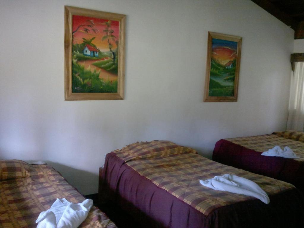 Hostel Villa Verde Monteverde ภายนอก รูปภาพ